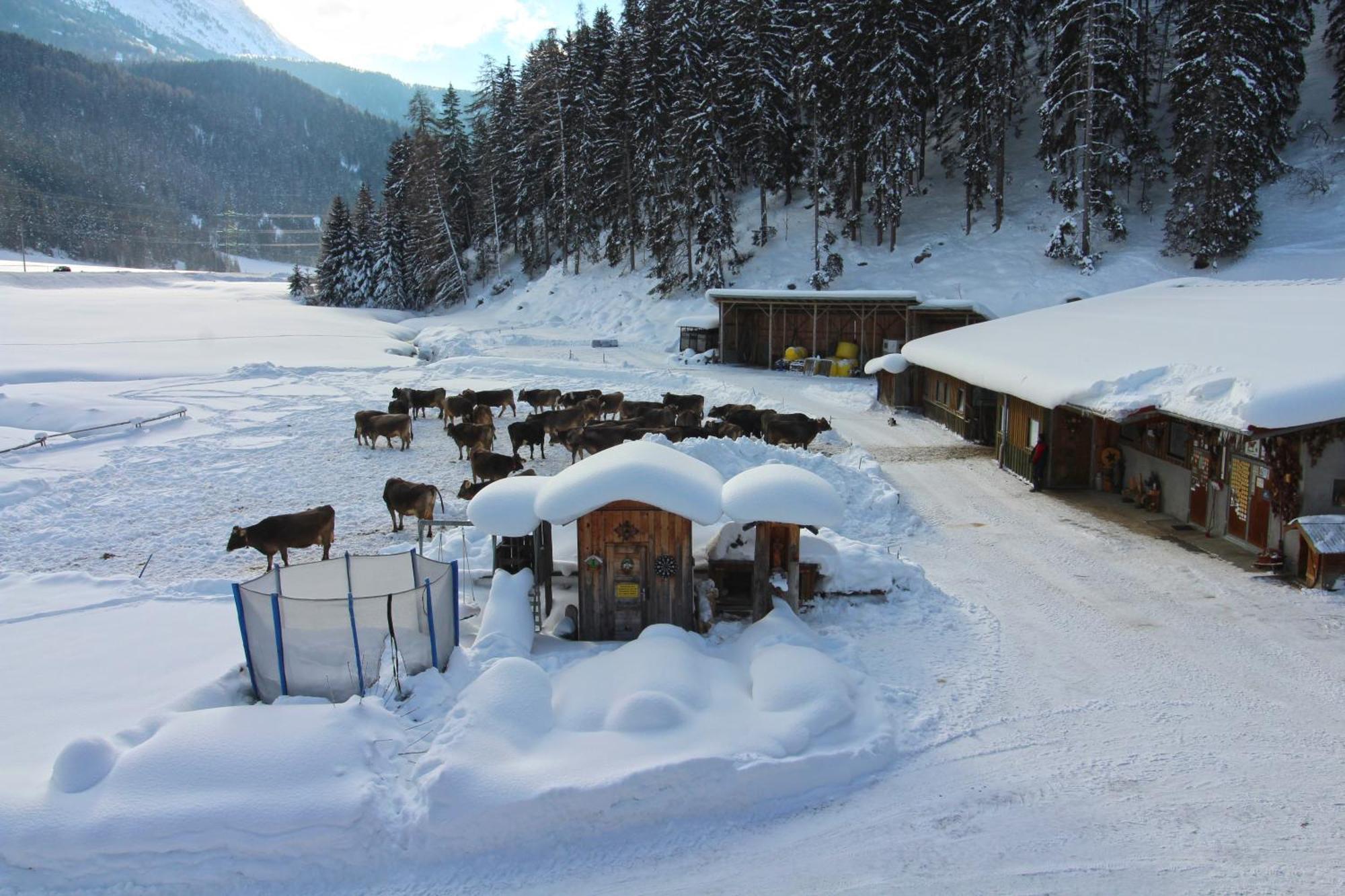 Valrunzhof Direkt Am Seilbahncenter Villa เนาดาส ภายนอก รูปภาพ