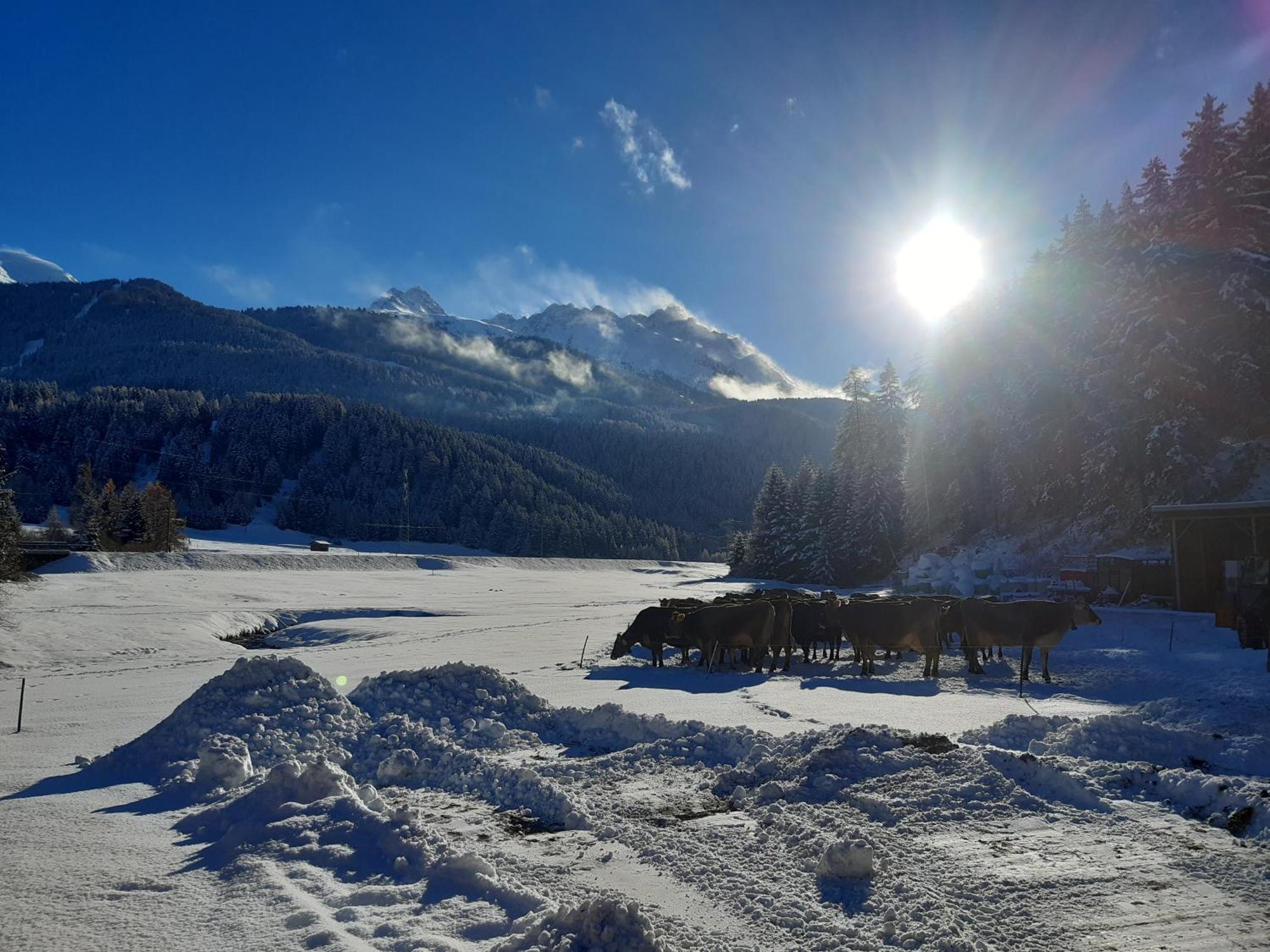 Valrunzhof Direkt Am Seilbahncenter Villa เนาดาส ภายนอก รูปภาพ